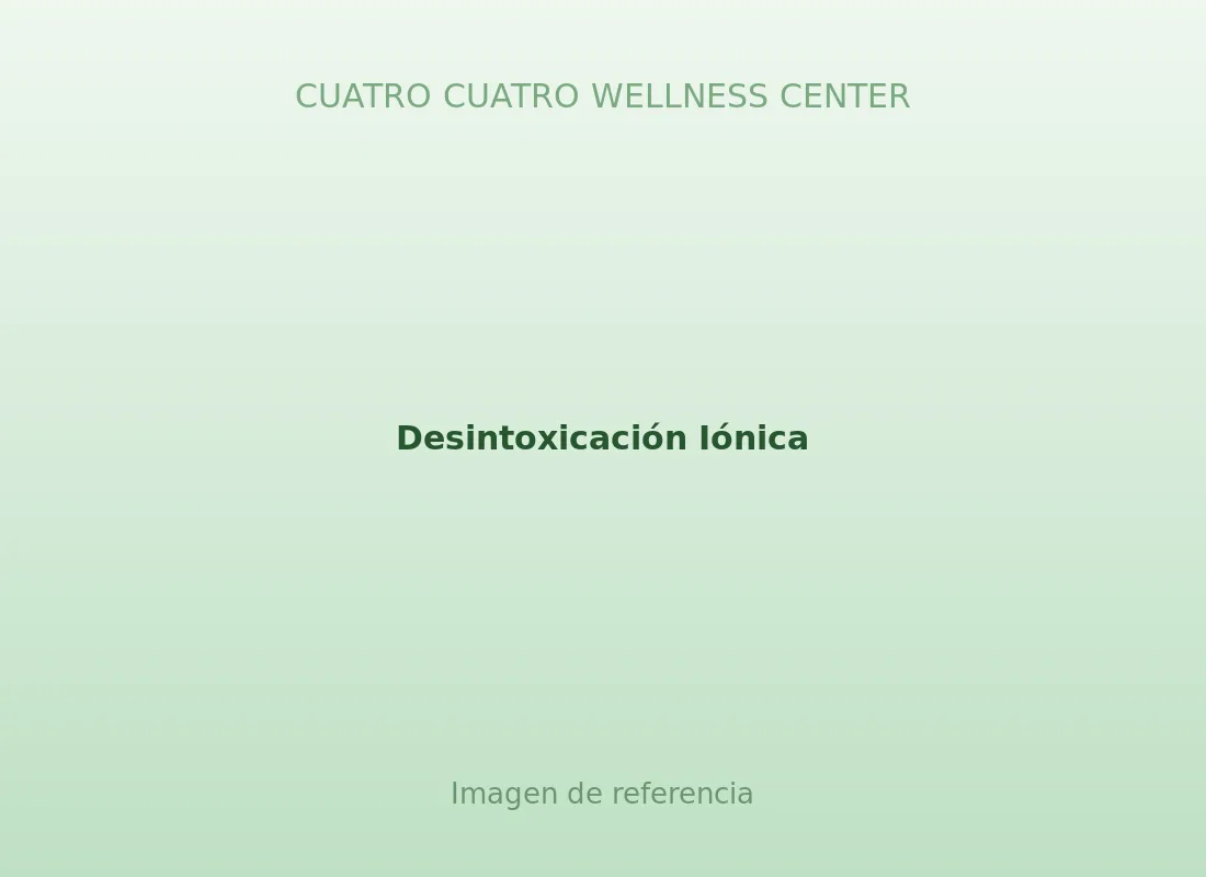 Desintoxicación Iónica